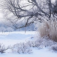 Prognoza meteo, 14 ianuarie. Temperaturi în scădere în toată țara. Zonele cele mai friguroase