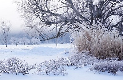 Prognoza meteo, 14 ianuarie. Temperaturi în scădere în toată țara. Zonele cele mai friguroase