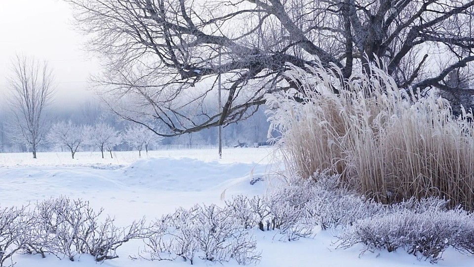 Prognoza meteo, 14 ianuarie. Temperaturi în scădere în toată țara. Zonele cele mai friguroase
