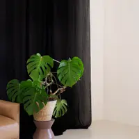 Grădina de Vis: Idei Practice pentru Amenajarea Spațiului Verde