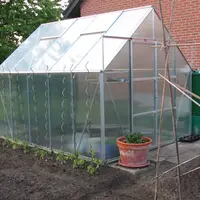 Cultura plantelor in solar