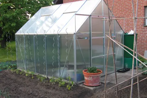 Cultura plantelor in solar