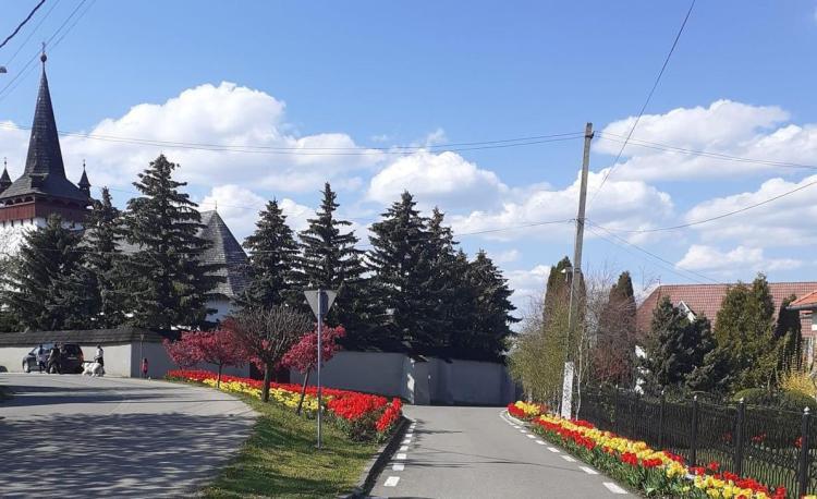 Comuna clujeană Sâncraiu va deveni stațiune turistică