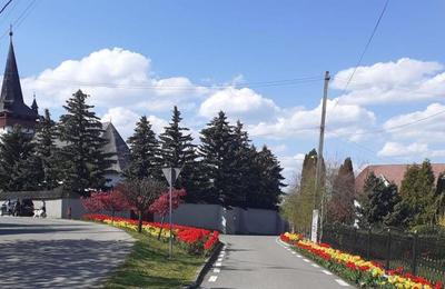 Comuna clujeană Sâncraiu va deveni stațiune turistică