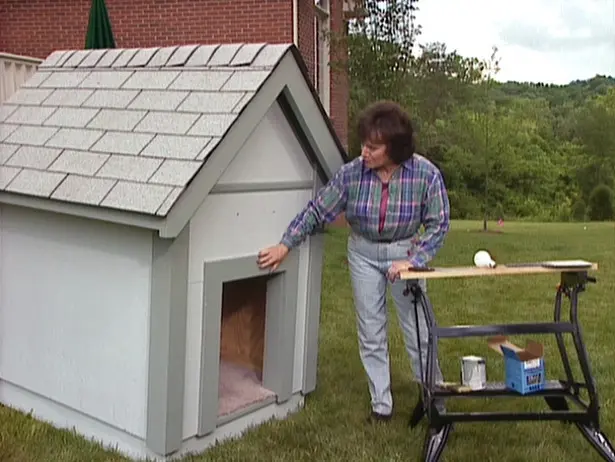 Cum sa iti faci o casuta pentru caine