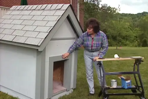 Cum sa iti faci o casuta pentru caine