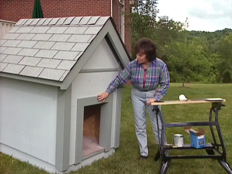 Cum sa iti faci o casuta pentru caine