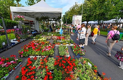 Festivalul Florilor din Drumul Taberei (West Side Flower Fest 2025) a deschis oficial înscrierile pentru comercianți!