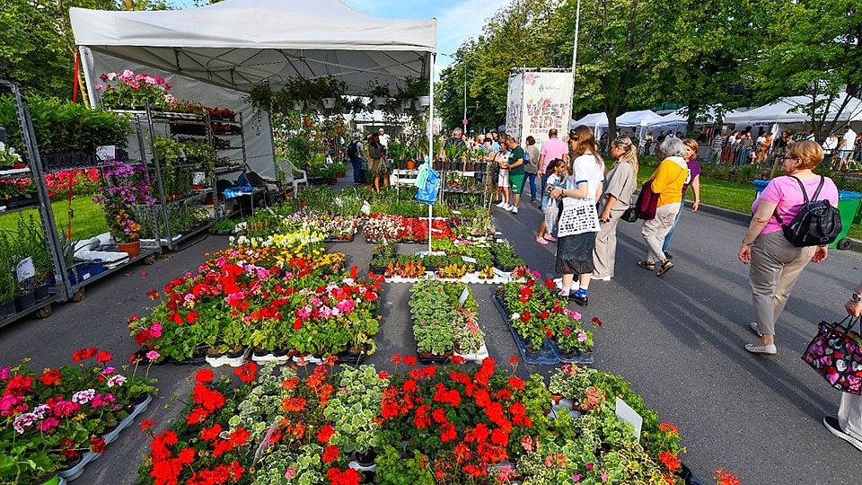 Festivalul Florilor din Drumul Taberei (West Side Flower Fest 2025) a deschis oficial înscrierile pentru comercianți!
