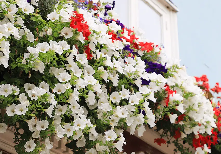 Common Gardening Terms Explained Simply