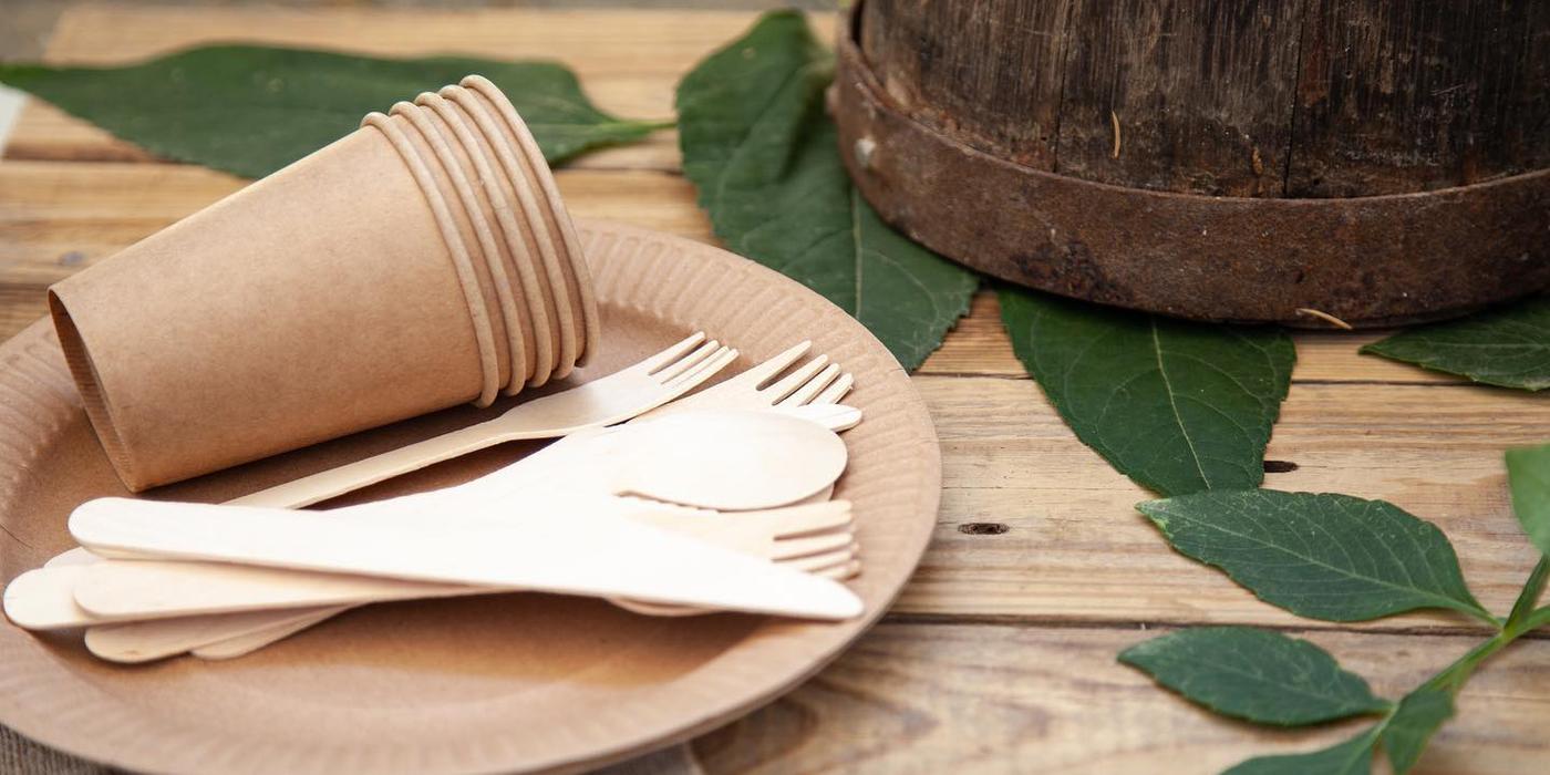 O altfel de servire la restaurantele fast food și nu numai pe farfurie carton