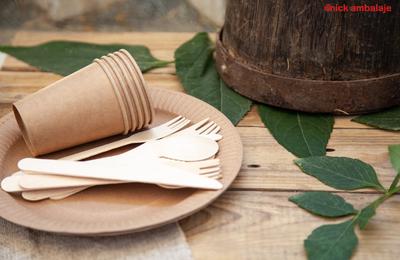 O altfel de servire la restaurantele fast food și nu numai pe farfurie carton