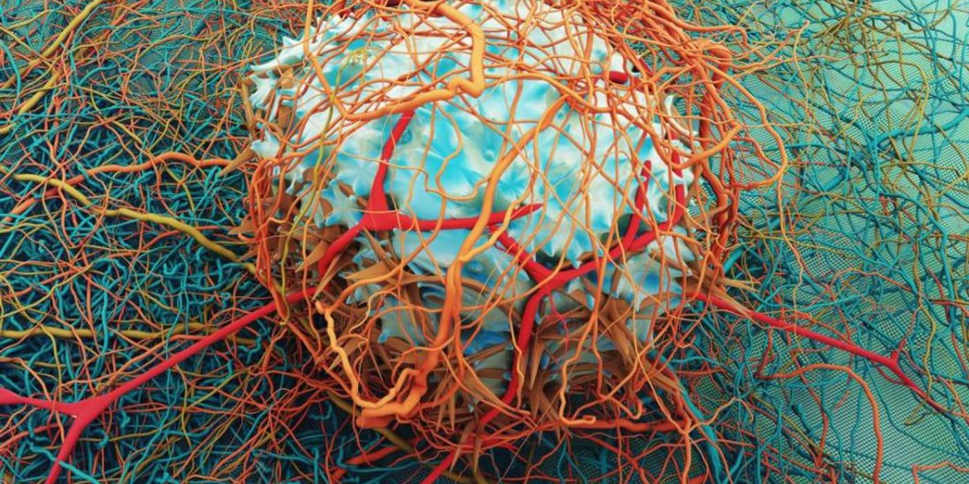 Cum schimbă boala perspectiva asupra vieții: ce spun pacienții vindecați de cancer