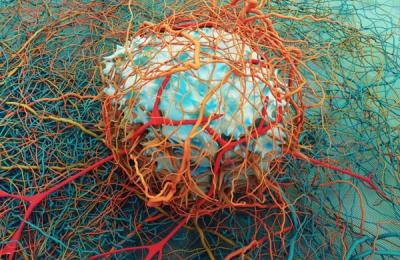 Cum schimbă boala perspectiva asupra vieții: ce spun pacienții vindecați de cancer