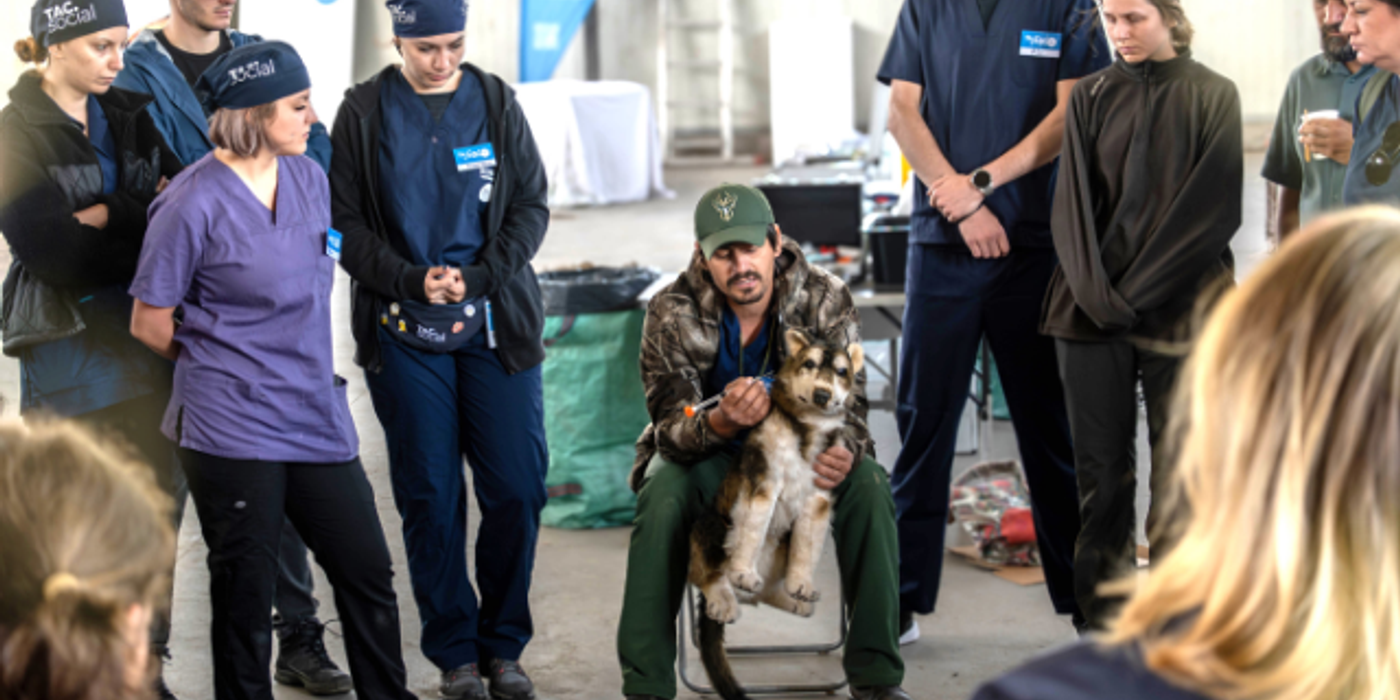 Între 18-21 octombrie are loc a cincea campanie veterinară de sterilizări și vaccinări la Pata Rât