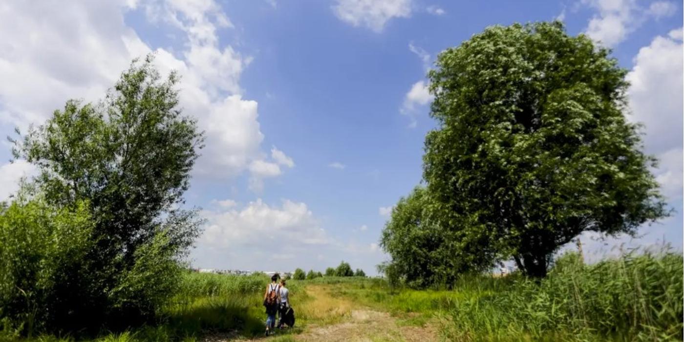 În cinci zone din Capitală au fost descoperite „insule de biodiversitate”