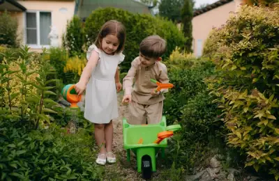 Ce nu trebuie să lipsească dintr-o grădină bine gândită