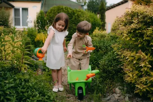 Ce nu trebuie să lipsească dintr-o grădină bine gândită