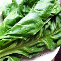 Cum se planteaza spanacul? (VIDEO)