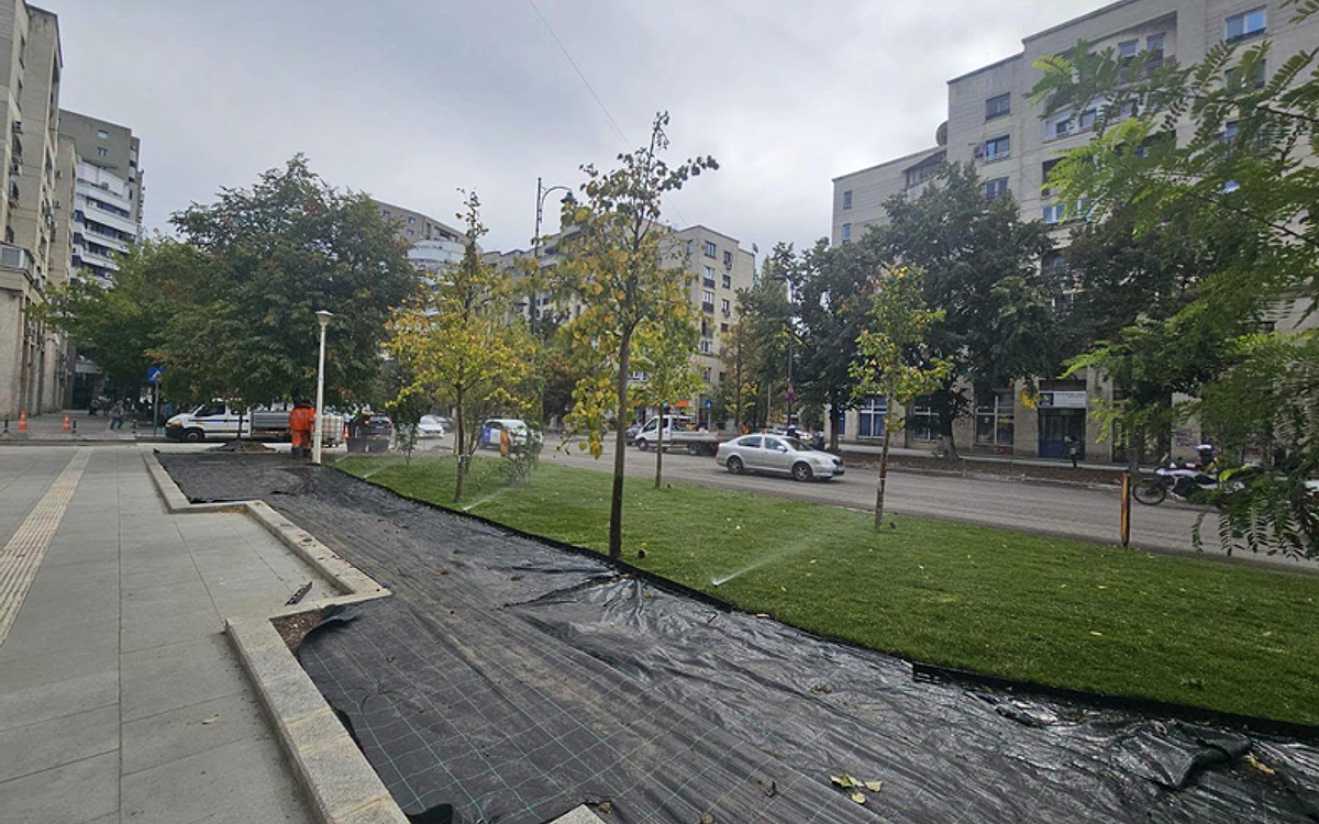 Bulevardul Națiunile Unite din Capitală, la trei luni de șantier: Gazon, copaci noi și stâlpișori anti-parcare