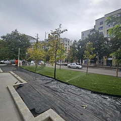 Bulevardul Națiunile Unite din Capitală, la trei luni de șantier: Gazon, copaci noi și stâlpișori anti-parcare