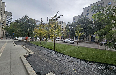 Bulevardul Națiunile Unite din Capitală, la trei luni de șantier: Gazon, copaci noi și stâlpișori anti-parcare