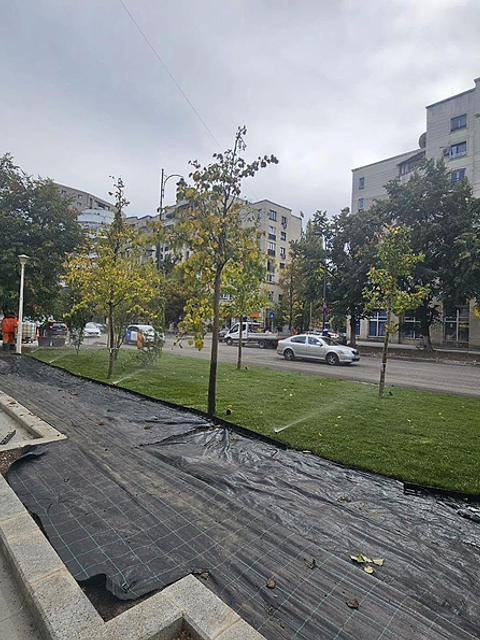 Bulevardul Națiunile Unite din Capitală, la trei luni de șantier: Gazon, copaci noi și stâlpișori anti-parcare