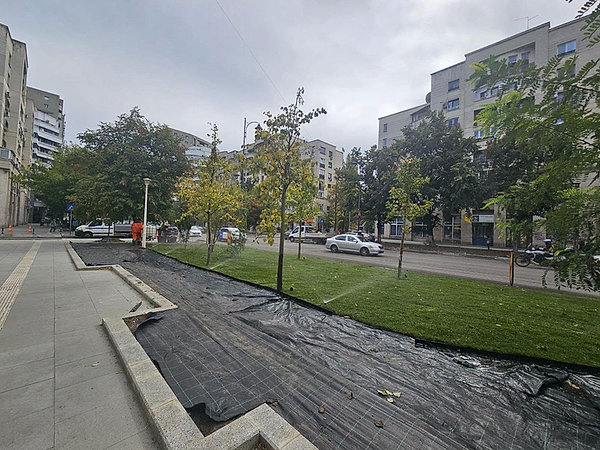 Bulevardul Națiunile Unite din Capitală, la trei luni de șantier: Gazon, copaci noi și stâlpișori anti-parcare