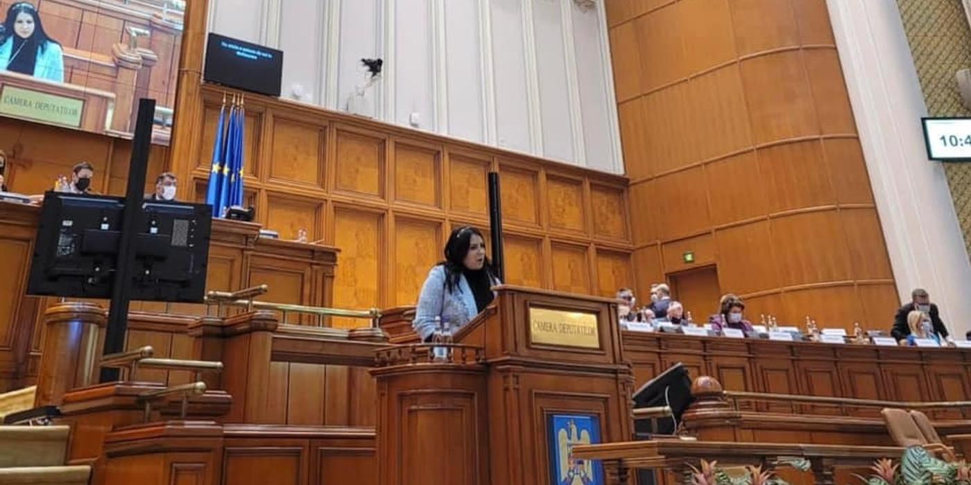Maria Gabriela Horga (PNL), despre taxa pe care vrea să o impună PSD marilor companii: Nu se va aplica nici băncilor, nici companiilor din energie, loveşte în companii cu rate relativ mici de profit, româneşti sau cele din industria alimentară