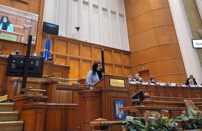 Maria Gabriela Horga (PNL), despre taxa pe care vrea să o impună PSD marilor companii: Nu se va aplica nici băncilor, nici companiilor din energie, loveşte în companii cu rate relativ mici de profit, româneşti sau cele din industria alimentară