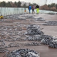 Peste un milion de luminițe de Crăciun se aprind în Sectorul 6, odată cu deschiderea West Side Christmas Market 2025