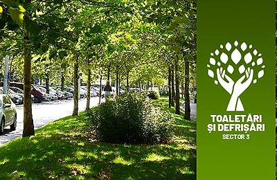 Toaletarea arborilor uscați și acțiuni de plantare în Sectorul 3