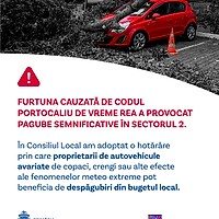 Despăgubiri pentru mașinile avariate de copaci în Sectorul 2: pași rapizi, acte necesare și termene-limită (3 octombrie 2025)