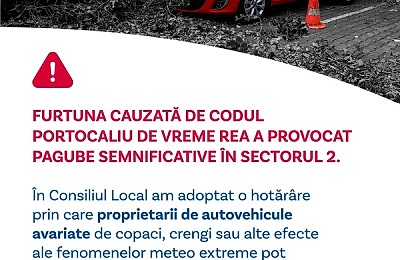 Despăgubiri pentru mașinile avariate de copaci în Sectorul 2: pași rapizi, acte necesare și termene-limită (3 octombrie 2025)