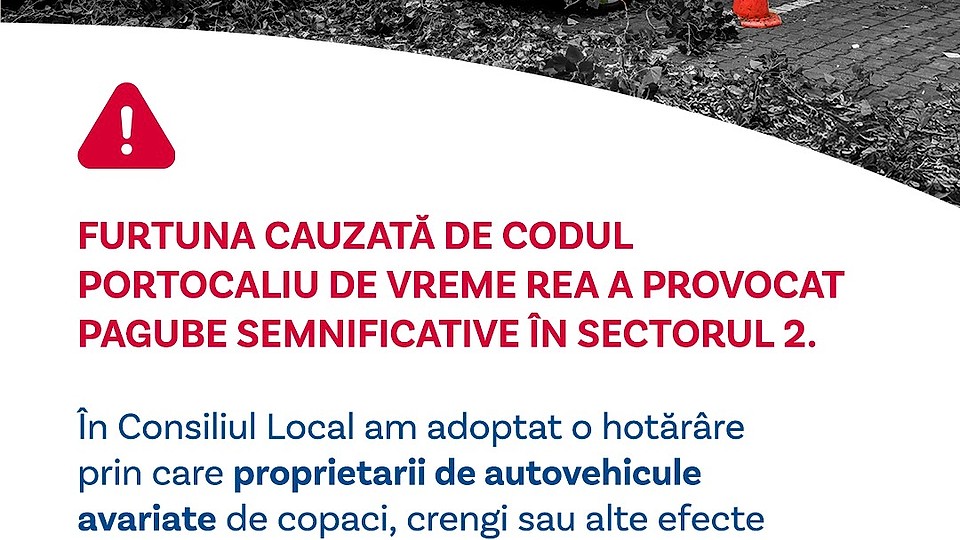 Despăgubiri pentru mașinile avariate de copaci în Sectorul 2: pași rapizi, acte necesare și termene-limită (3 octombrie 2025)