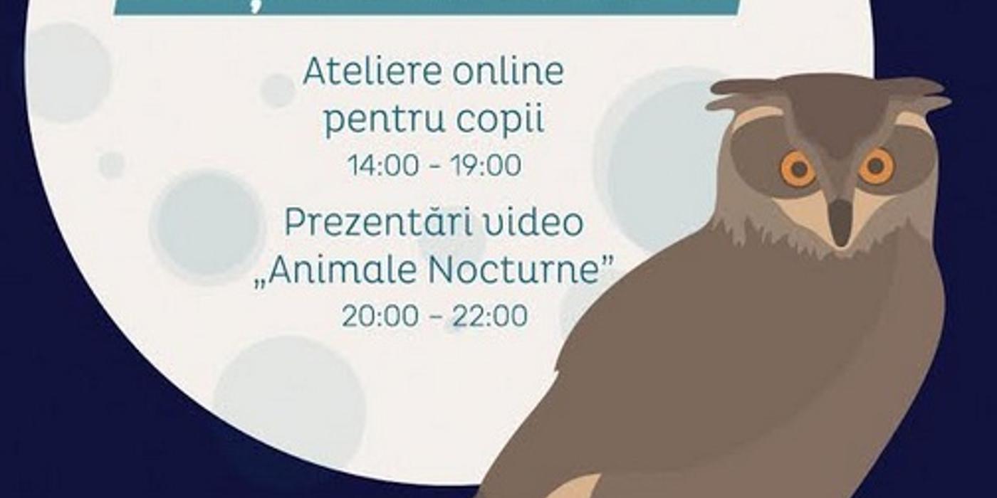 Muzeul Antipa a pregătit o ediţie specială online pentru Noaptea Muzeelor 2021
