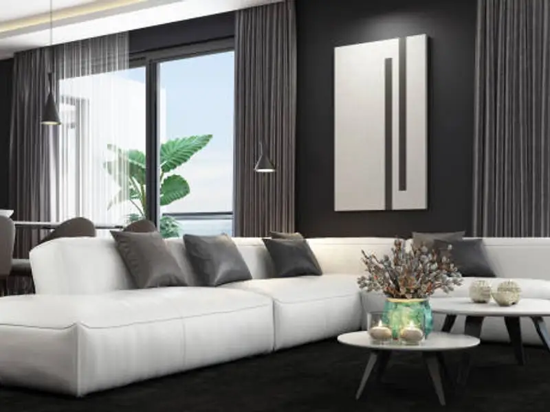 Living room în alb și negru: idei și soluții inedite pentru amenajarea sa