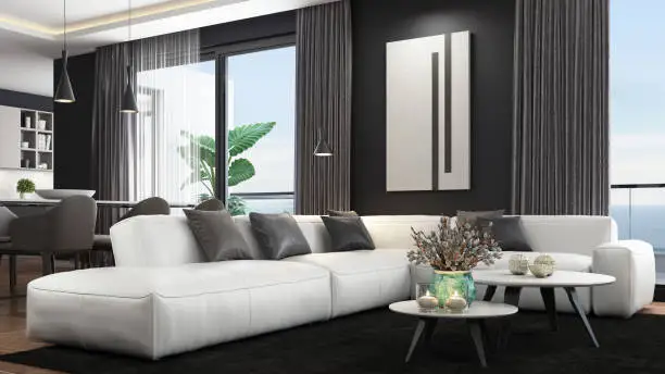 Living Room in Black and White: Unique Ideas and Solutions for Its Design
