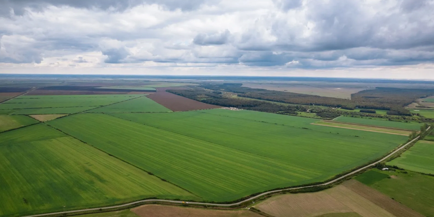 Licitație publică organizată la Constanța: Peste 9,3 hectare de teren arabil din județul Tulcea, scoase la vânzare prin executare silită