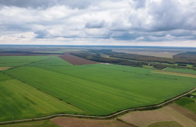 Licitație publică organizată la Constanța: Peste 9,3 hectare de teren arabil din județul Tulcea, scoase la vânzare prin executare silită