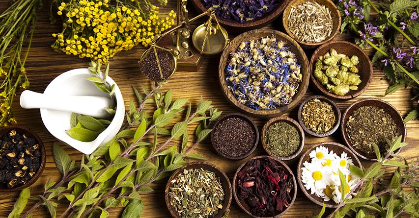 Beneficiile plantelor medicinale