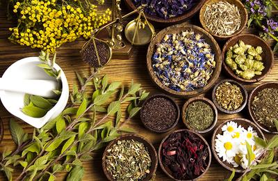 Beneficiile plantelor medicinale