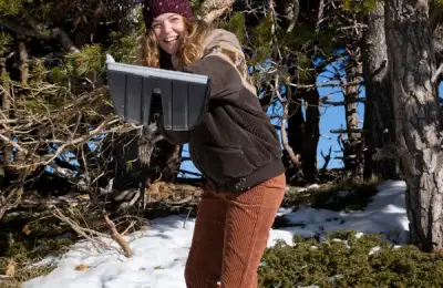 Creating an Indoor Garden with Perennial and Exotic Plants for Year-Round Greenery and Color