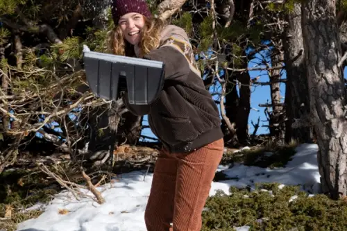 Cum să amenajezi o grădină interioară, cu plante perene și exotice, care să aducă un strop de verdeață și culoare în sezonul rece