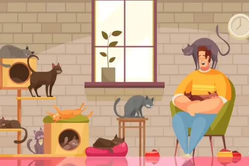 Cum influențează pisicile echilibrul ecologic al unui apartament