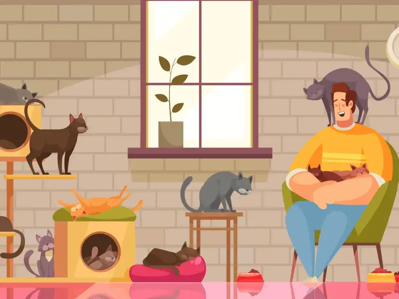 Cum influențează pisicile echilibrul ecologic al unui apartament