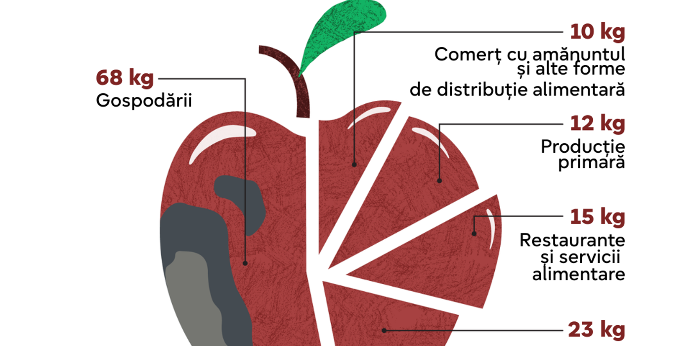 Costul Risipei: cum pierderile din gospodării depășesc de două ori ineficiența din producția industrială