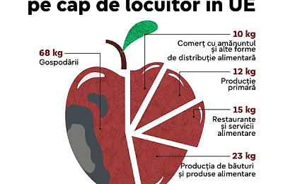 Costul Risipei: cum pierderile din gospodării depășesc de două ori ineficiența din producția industrială