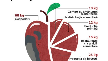Costul Risipei: cum pierderile din gospodării depășesc de două ori ineficiența din producția industrială