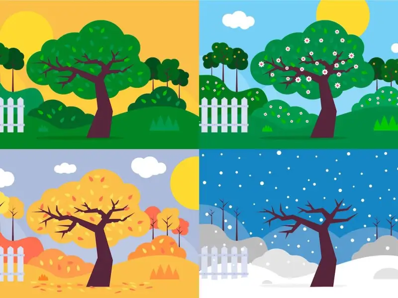 Cum să îți organizezi grădina pentru fiecare anotimp